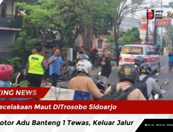 Kecelakaan Maut di Trosobo Sidoarjo, 2 Motor Adu Banteng 1 Tewas, Keluar Jalur