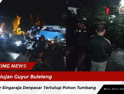 Hujan Guyur Buleleng, Jalur Singaraja Denpasar Tertutup Pohon Tumbang