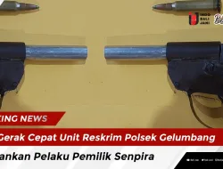 Gerak Cepat Unit Reskrim Polsek Gelumbang, Amankan Pelaku Pemilik Senpira