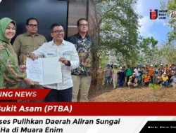 Bukit Asam (PTBA) Sukses Pulihkan Daerah Aliran Sungai 234 Ha di Muara Enim