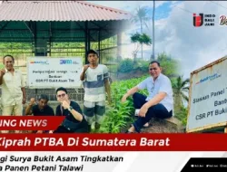 Kiprah PTBA Di Sumatera Barat , Energi Surya Bukit Asam Tingkatkan Masa Panen Petani Talawi