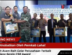 Dinobatkan Oleh Pemkab Lahat, Bukit Asam Raih Gelar Perusahaan Terbaik di Ajang Serelo CSR Award