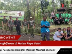 Penghijauan di Hutan Raya Selat, Perangi Perubahan Iklim Dan Hasilkan Manfaat Ekonomi