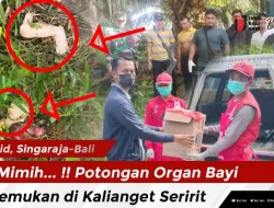 Mimih… !! Potongan Organ Bayi Ditemukan di Kalianget Seririt