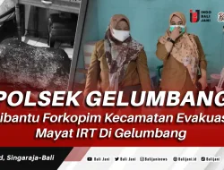 Polsek Gelumbang Dibantu Forkopim Kecamatan Evakuasi Mayat IRT Di Gelumbang
