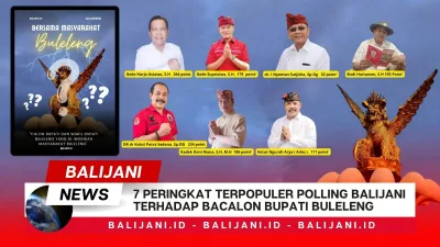 7 Peringkat Terpopuler Polling Balijani Terhadap Bacalon Bupati Buleleng