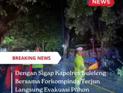 Dengan Sigap Kapolres Buleleng Bersama forkompinda Terjun Langsung Evakuasi Pohon Tumbang Di Desa Temukus