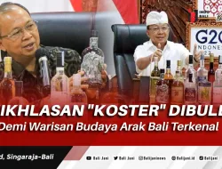 Keikhlasan “Koster” Dibully Demi Warisan Budaya Arak Bali Terkenal