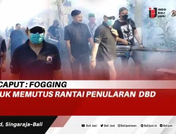 dr. Caput : Fogging Untuk Memutus Rantai Penularan DBD