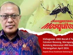 Didiagnosa DBD Bocah 5 Tahun Di Celukan Bawang, Meregang Nyawa, Buleleng Mencatat 498 Kasus Hingga Pertengahan April 2024