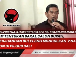 Belum Tentukan Bakal Calon Bupati, PDI Perjuangan Buleleng Munculkan 2 Nama Paslon Di Pilgub Bali