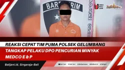 Reaksi Cepat TIM Puma Polsek Gelumbang Tangkap Pelaku DPO pencurian Minyak Medco E & P