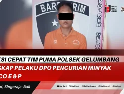 Reaksi Cepat TIM Puma Polsek Gelumbang Tangkap Pelaku DPO pencurian Minyak Medco E & P