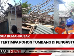 Dua Rumah Rusak Tertimpa Pohon Tumbang di Pengastulan