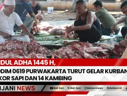 Idul Adha 1445 H, Kodim 0619 Purwakarta Turut Gelar Kurban 1 Sapi Ekor dan 14 Kambing