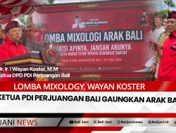 Lomba Mixology, Wayan Koster Ketua PDI Perjuangan Bali Gaungkan Arak Bali
