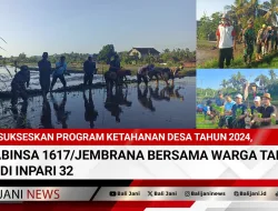 Sukseskan Program Ketahanan Desa Tahun 2024, Babinsa 1617/Jembrana Bersama Warga Tanam Padi Inpari 32