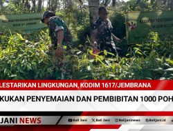 Lestarikan Lingkungan, Kodim 1617/Jembrana Lakukan Penyemaian Dan Pembibitan 1000 Pohon