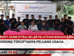 Bukit Asam (PTBA) Gelar Pelatihan Budidaya Maggot Dorong Terciptanya Peluang Usaha