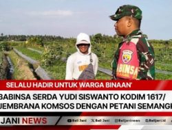 Selalu Hadir Untuk Warga Binaan’ Babinsa Serda Yudi Siswanto Kodim 1617/Jembrana Komsos Dengan Petani Semangka