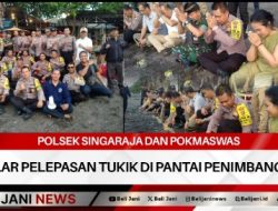 Polsek Singaraja dan Pokmaswas Gelar Pelepasan Tukik di Pantai Penimbangan