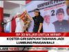 Rp 30 Miliar untuk MRMP: Koster-Giri Siapkan Tabanan Jadi Lumbung Pangan Bali!