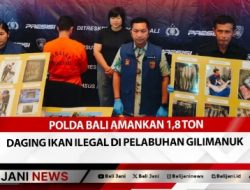 Polda Bali Amankan 1,8 Ton Daging Ikan Ilegal Di Pelabuhan Gilimanuk