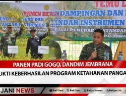 Panen Padi Gogo, Dandim Jembrana “Bukti Keberhasilan Program Ketahanan Pangan