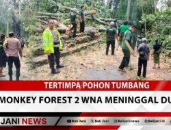 Tertimpa Pohon Tumbang Di Monkey Forest 2 WNA Meninggal Dunia