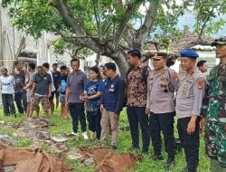 22 Penyu Hijau Ditemukan di Pemuteran, Polisi Terus Selidiki