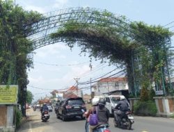 Gapura Selamat Datang Kota Singaraja Kusam, Gapura Besi Dipenuhi Tanaman Rambat Liar