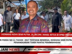 Dalami Perda No 11 Tahan 2017 Tentang Bendega, Komang Sewi Putra Datangi Penangkaran Tukik Pantai Penimbangan