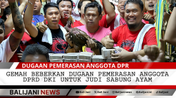 “GEMAH Beberkan Dugaan Pemerasan Anggota DPRD DKI untuk Judi Sabung Ayam”