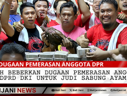 “GEMAH Beberkan Dugaan Pemerasan Anggota DPRD DKI untuk Judi Sabung Ayam”