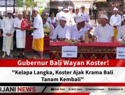Kelapa Langka, Koster Ajak Krama Bali Tanam Kembali