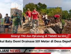 Sinergi TNI dan Pecalang di TMMD ke-124: Pikul Batu Demi Drainase 501 Meter di Desa Depeha