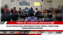 Penyuluhan pertanian TMMD ke-124 Kodim 1609 Buleleng di Desa Depeha fokus budidaya mangga