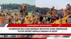 Gubernur Bali dan Bangka Belitung Naiki Sisingaan
