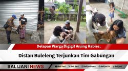 Petugas tangani warga digigit anjing rabies Buleleng