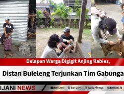 Delapan Warga Digigit Anjing Rabies, Distan Buleleng Terjunkan Tim Gabungan
