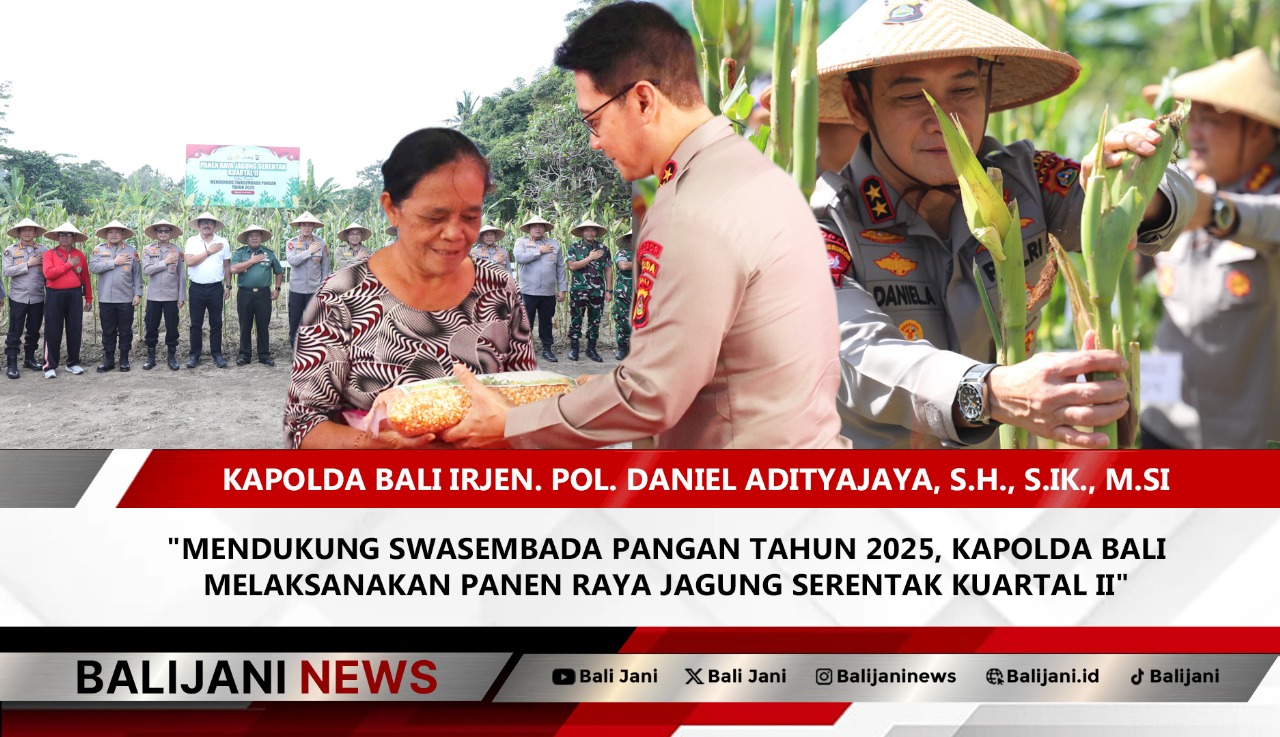 Kapolda Bali Panen Jagung Dukung Swasembada Pangan 2025