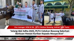 Penyerahan hewan kurban oleh PLTU Celukan Bawang kurban kepada masyarakat Gerokgak