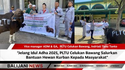 Penyerahan hewan kurban oleh PLTU Celukan Bawang kurban kepada masyarakat Gerokgak