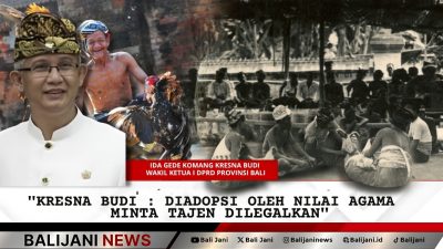 Kresna Budi usulkan tajen Bali dilegalkan demi tradisi agama