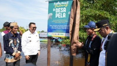 Tak Disangka! Alat Buatan PHM Ini Selamatkan Pesut Mahakam dari Kepunahan Total