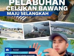 Pelindo Ngebut Empat Proyek Sambut Kapal Pesiar