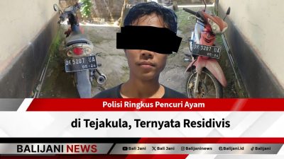 Polisi Ringkus Pencuri Ayam di Tejakula, Ternyata Residivis