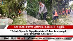 Polsek Tejakula bersihkan pohon tumbang