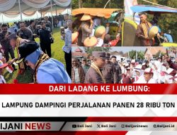 Dari Ladang ke Lumbung: Kejati Lampung Dampingi Perjalanan Panen 28 Ribu Ton Gabah