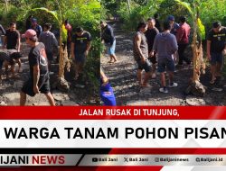 Jalan Rusak di Tunjung, Warga Tanam Pohon Pisang